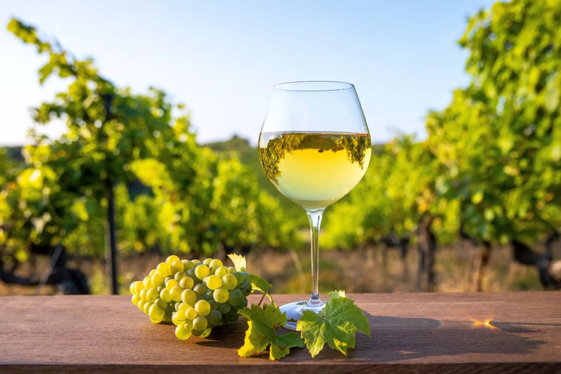 calice di vino bianco
