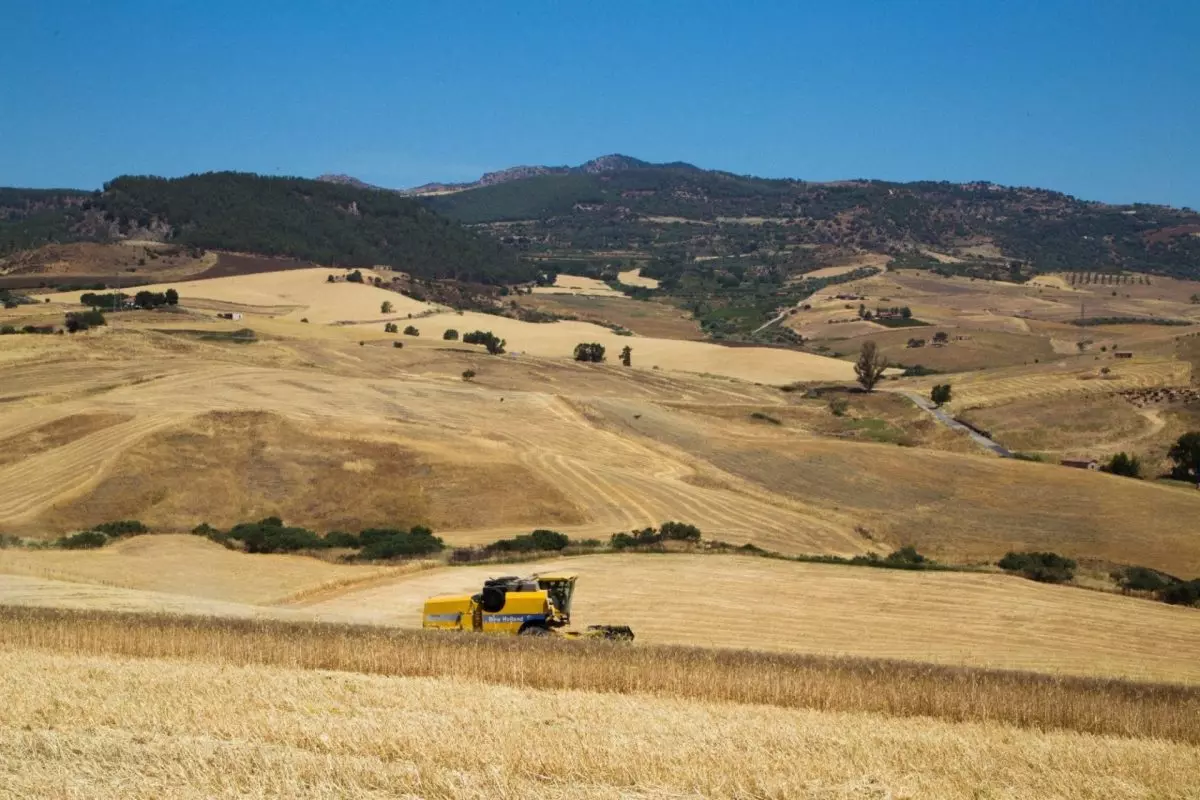 Biodistretto dei Monti Erei