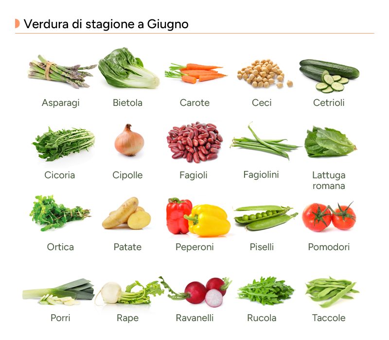Infografica con le verdure di stagione a giugno