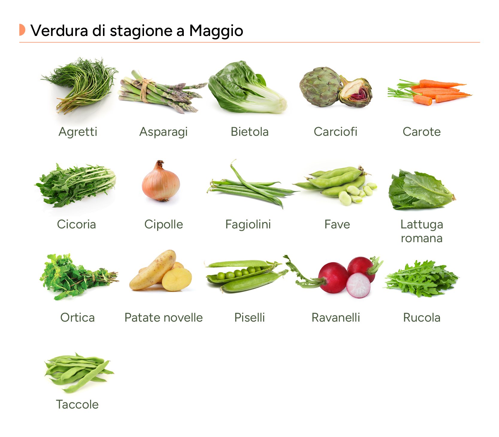 Infografica con le verdure di stagione del mese di maggio