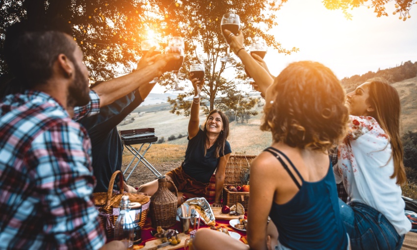 brindisi a un picnic