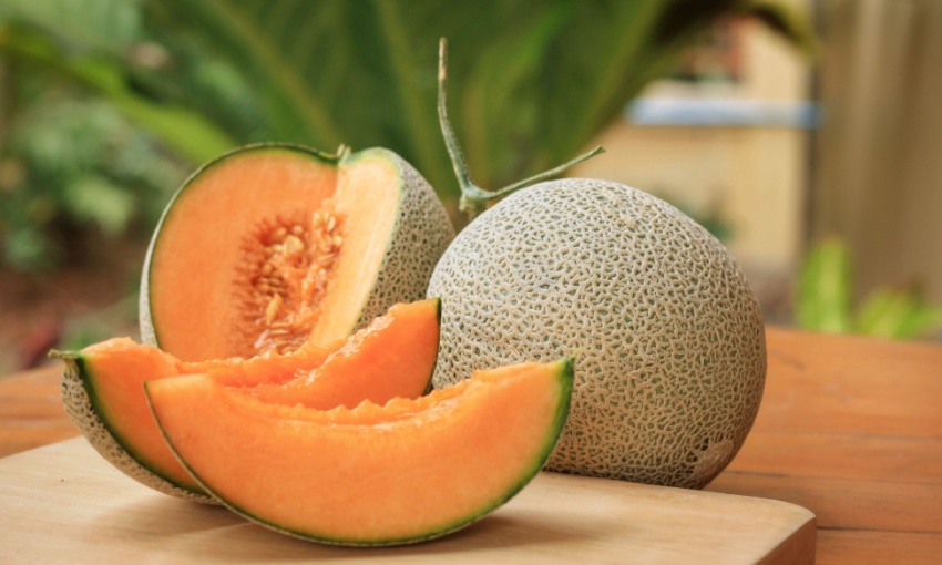 melone cantalupo