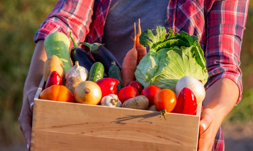 cassetta di verdure di stagione a luglio