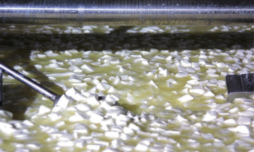 Come viene prodotta la Casatella Trevigiana DOP