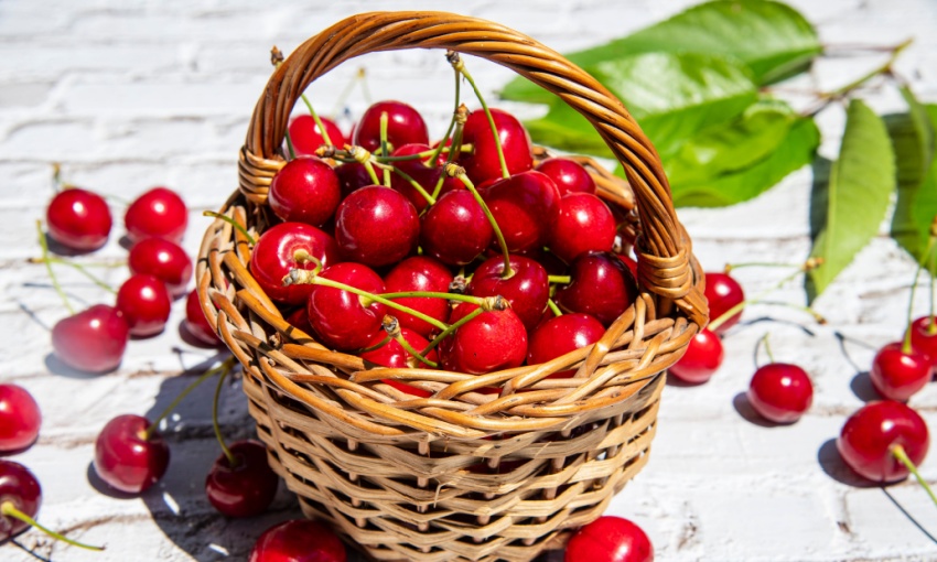 cesto di ciliegie