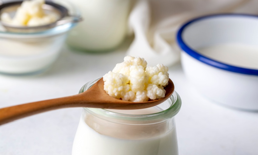 kefir