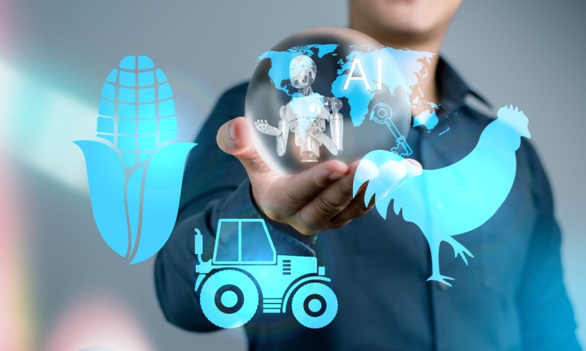 soluzioni per contrastare la crisi climatica