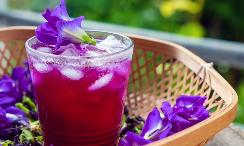 butterfly pea flower