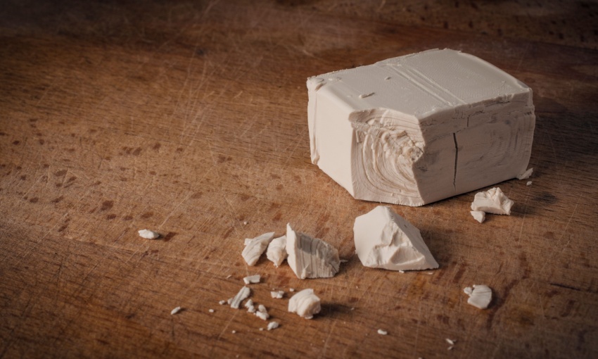 cubetto di lievito fresco