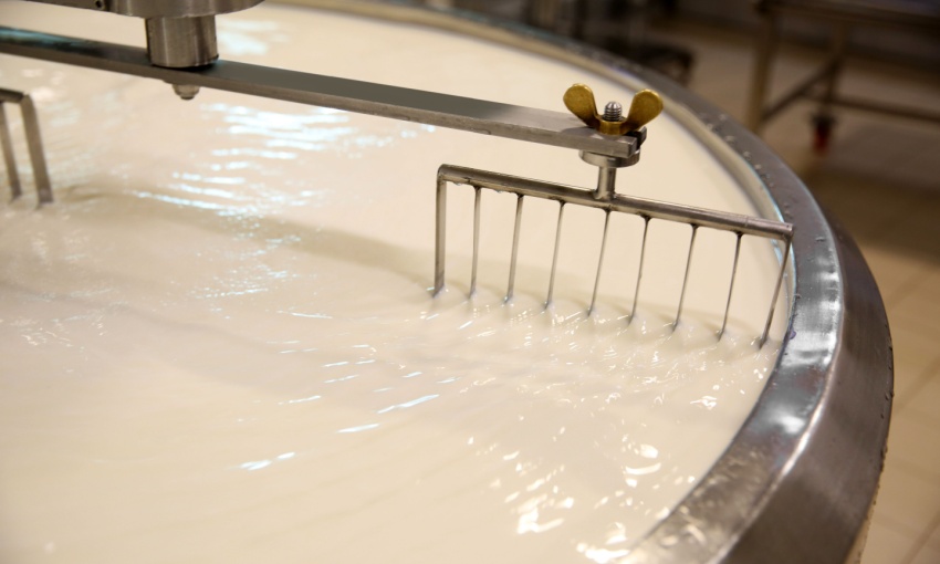 produzione di latte