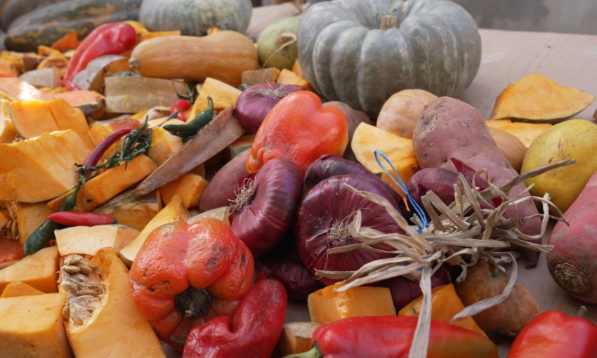 recupero scarti verdura