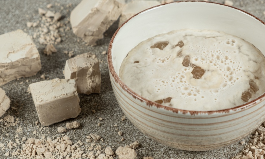 riattivare il lievito