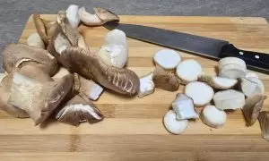 funghi