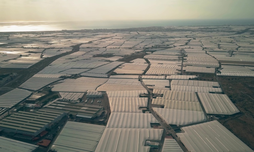 invernaderos in andalusia, spagna