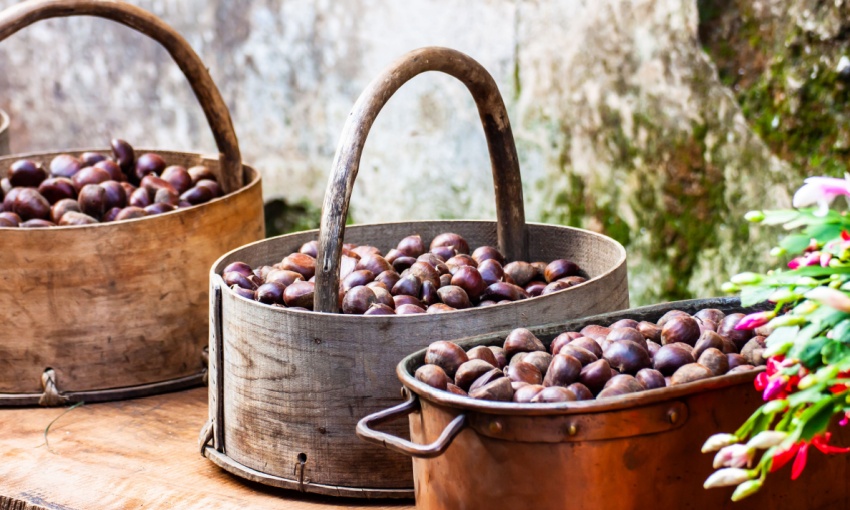cesti di castagne