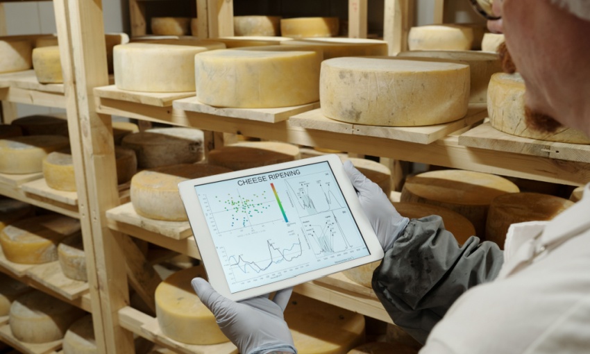 formaggi a latte crudo