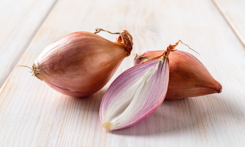 scalogno di romagna igp