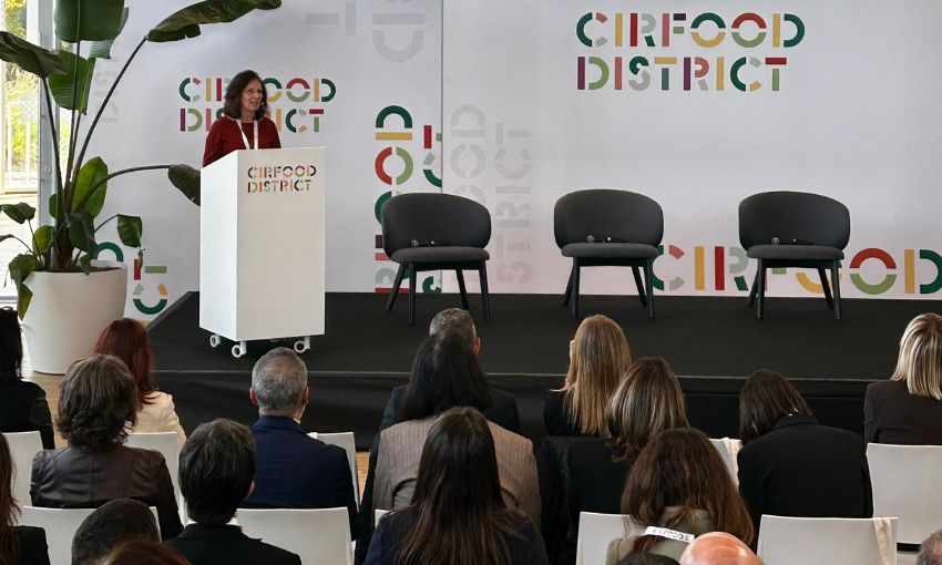 summut ristorazione collettiva