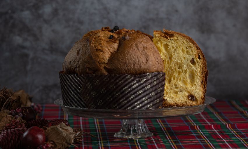 panettone ascolese