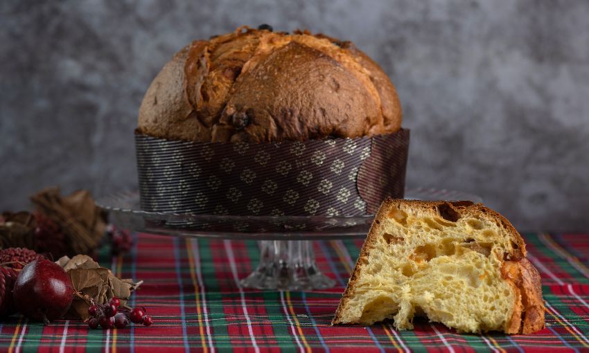 panettone ascolese
