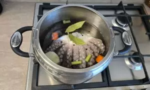 tutti gli ingredienti in pentola a pressione