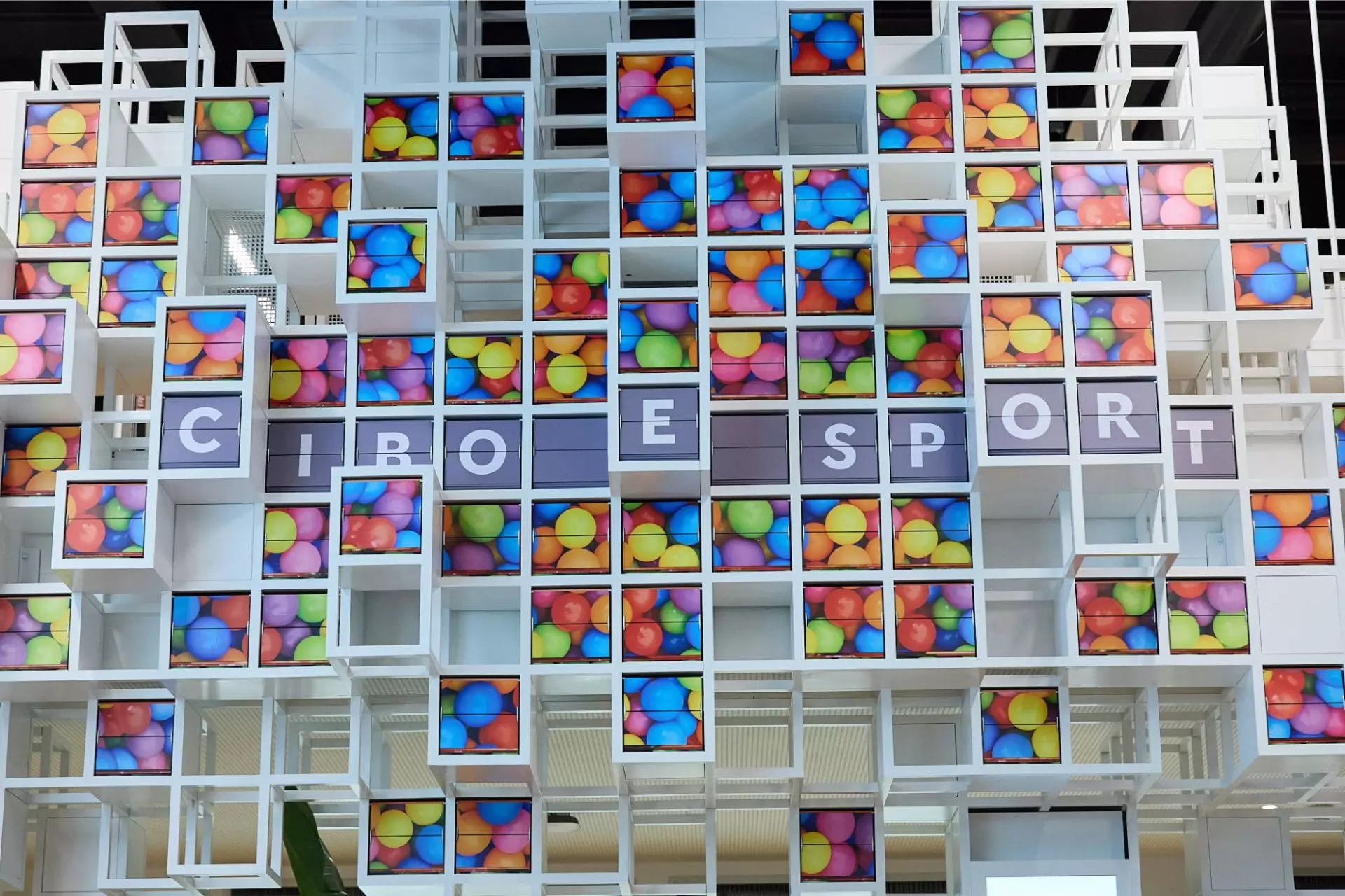 Nutrire lo sport - CIRFOOD DISTRICT