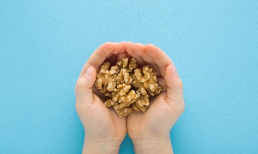 mani che raccolgono tante noci