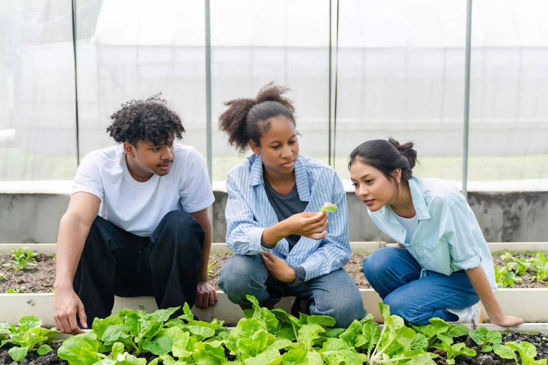giovani e agricoltura