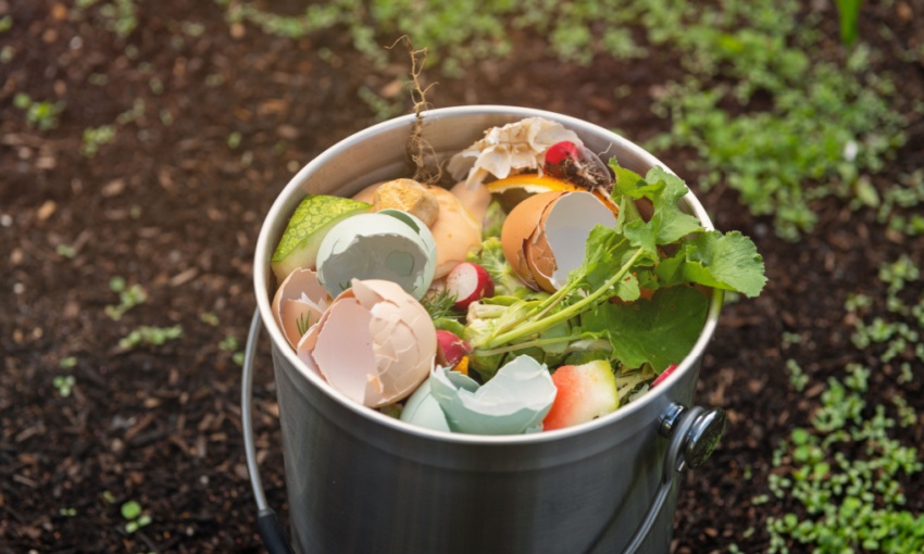 secchio di rifiuti alimentari