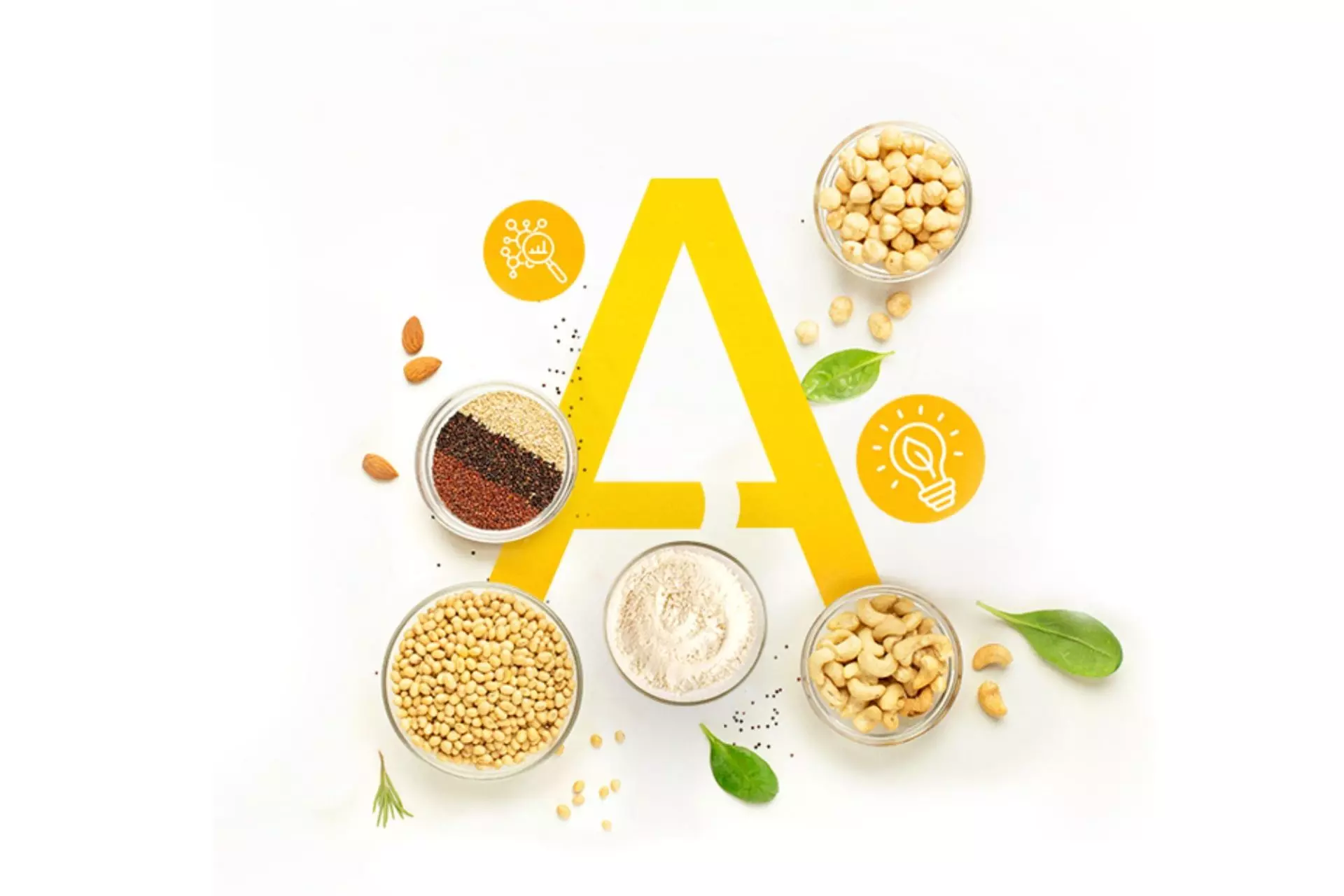 Logo Stati Generali delle Proteine Alternative