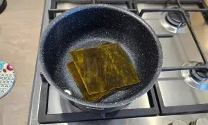 alga kombu