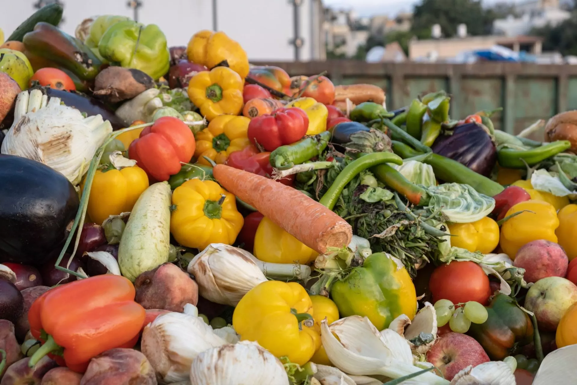 spreco alimentare