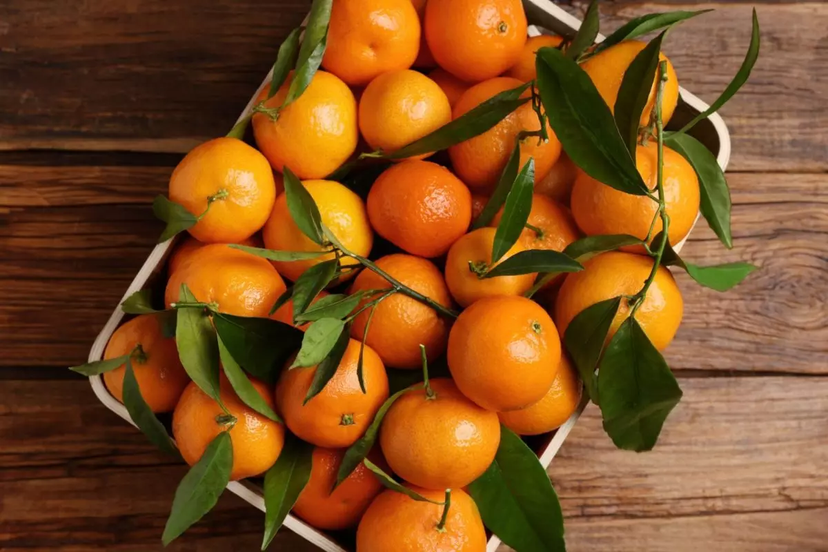 cassetta ortofrutticola