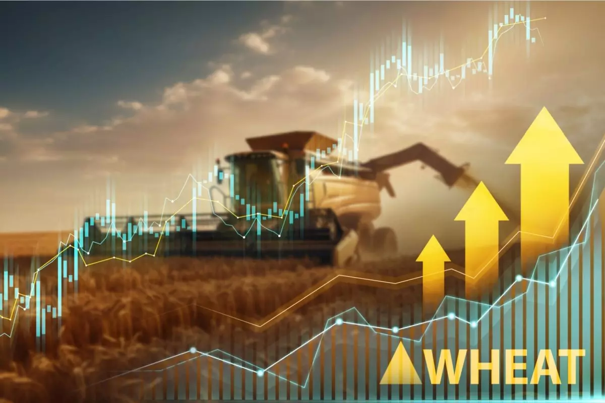 commodities agricole