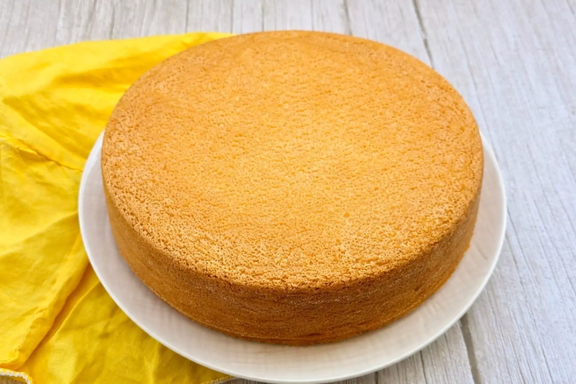 pan di spagna