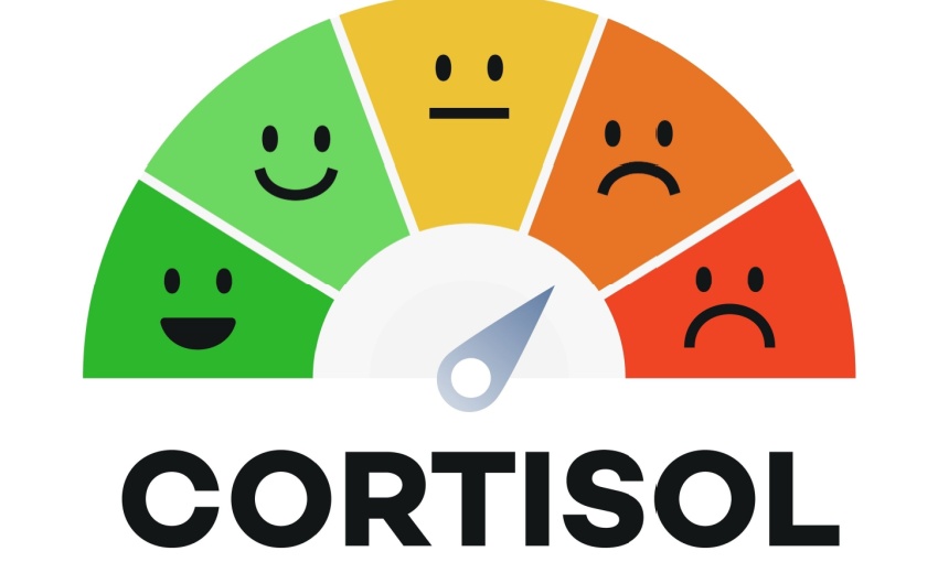 cortisolo alto, ormone dello stress