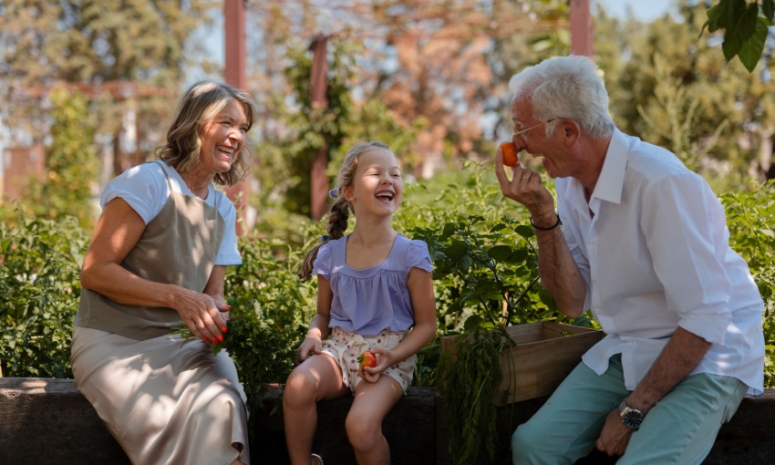 nonni e nipote che mangiano pomodori