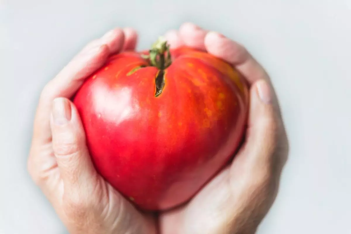 pomodoro a forma di cuore