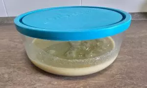 tempo di riposo dell'impasto
