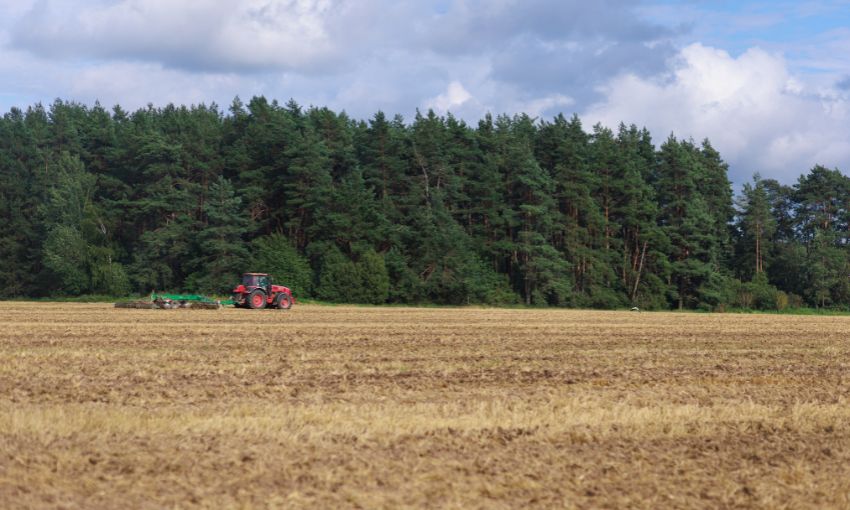 foresta e agricoltura