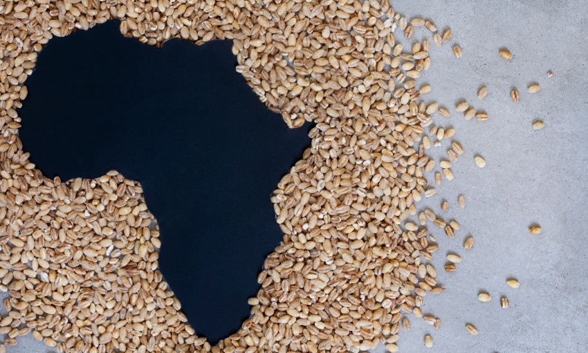 africa grano