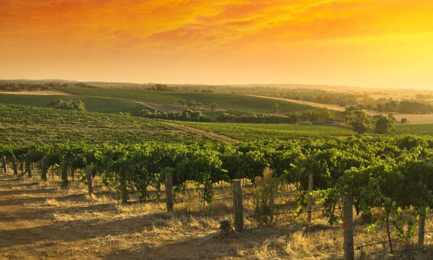 barossa valley