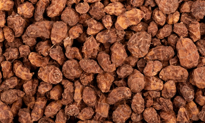 zigolo dolce