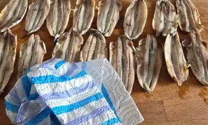 alici scolate e tamponate con carta assorbente