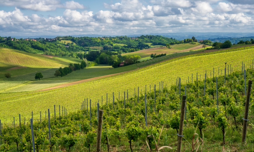 langhe