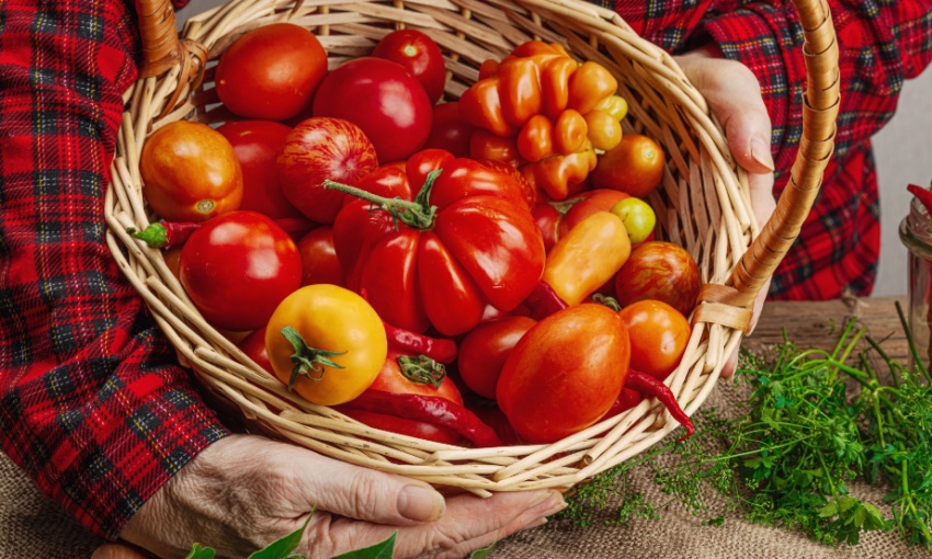 pomodori