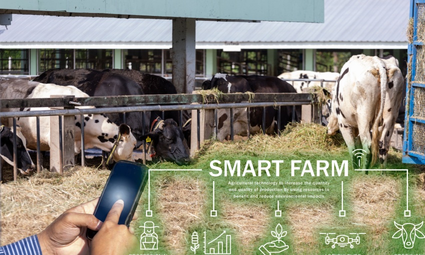 smart farm