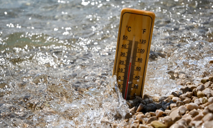 aumento delle temperature marine