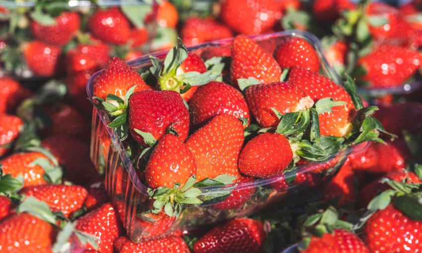 vaschetta di fragole