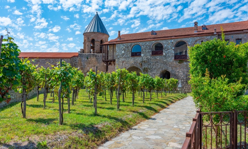 vigna nel monastero